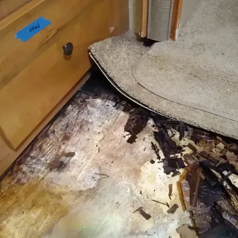 Wood Floor Water Damage in South Lebanon, OR